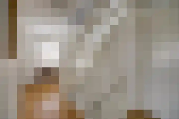 Mark 104 Dronten thumbnail 20