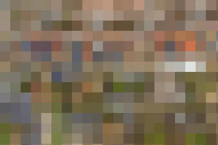 Mark 104 Dronten thumbnail 39