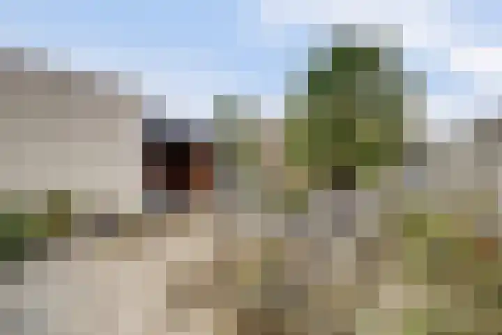 Mark 104 Dronten thumbnail 42