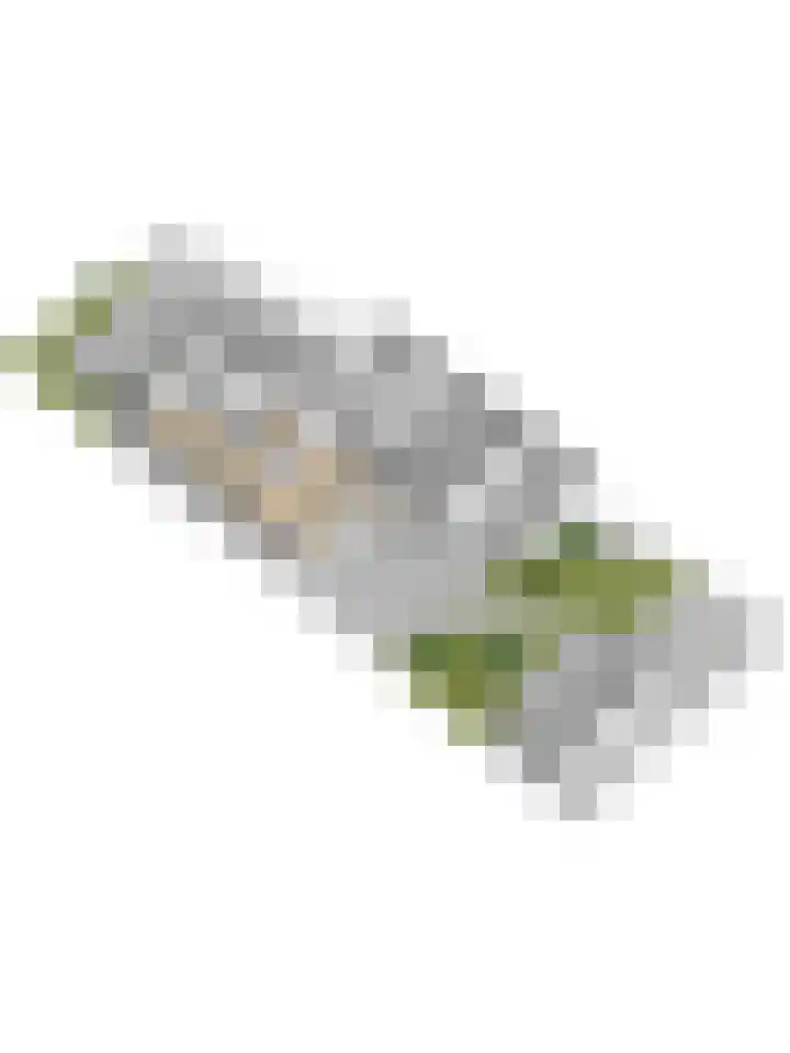 Mark 104 Dronten thumbnail 52