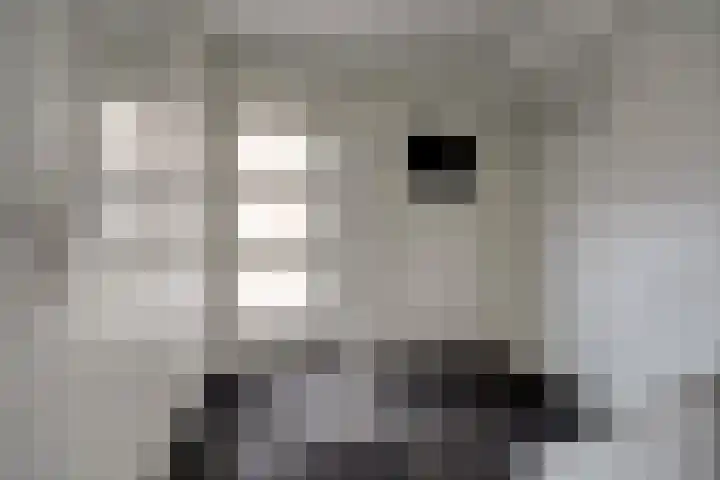 Mark 104 Dronten thumbnail 6