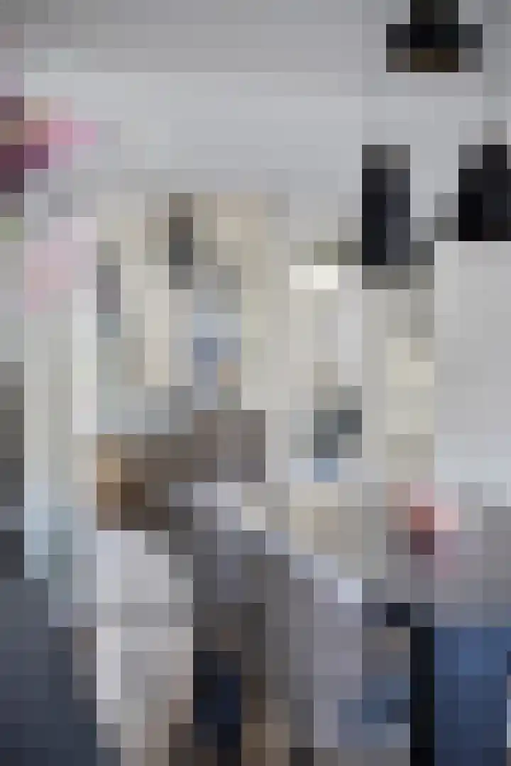 Mark 12 Oisterwijk thumbnail 17