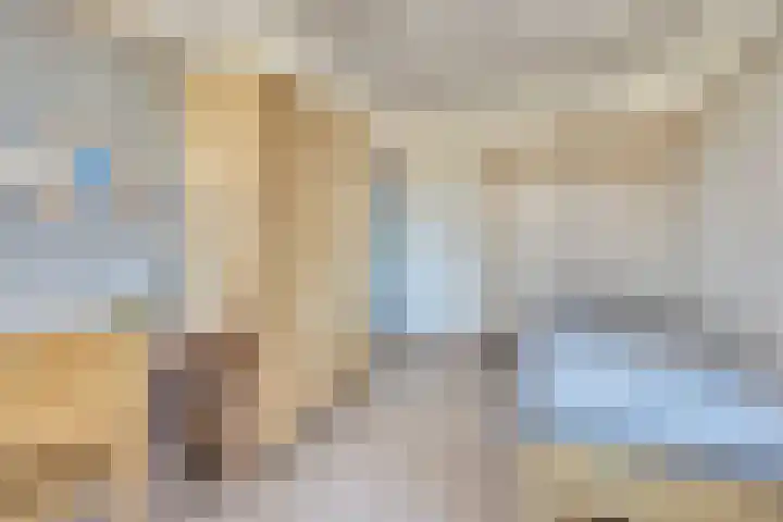 Mark 13 Dronten thumbnail 25