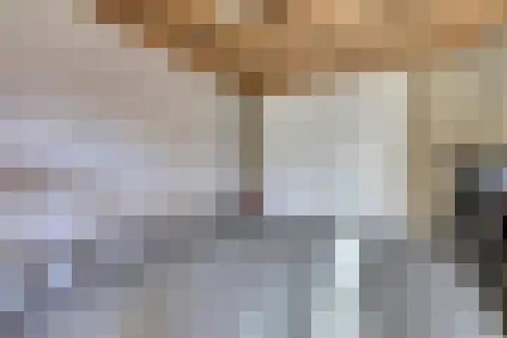 Mark 13 Dronten thumbnail 34