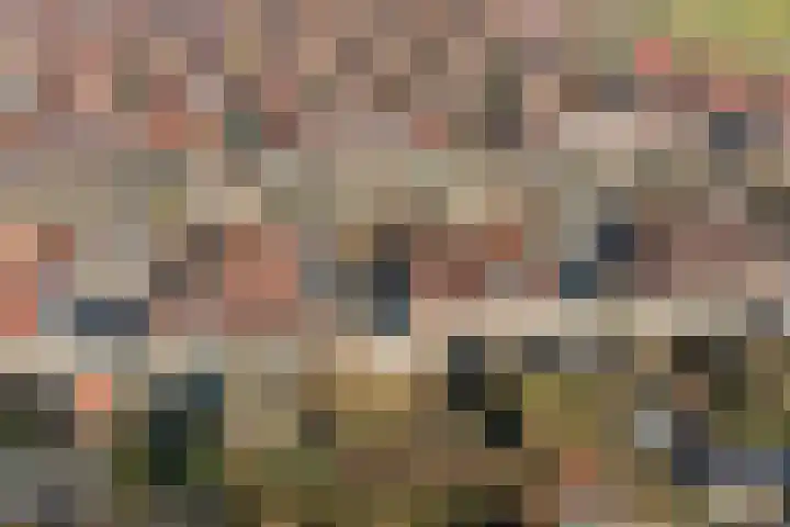 Mark 13 Dronten thumbnail 44