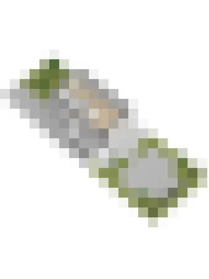 Mark 13 Dronten thumbnail 50