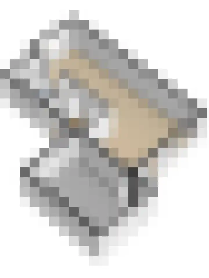 Mark 13 Dronten thumbnail 51