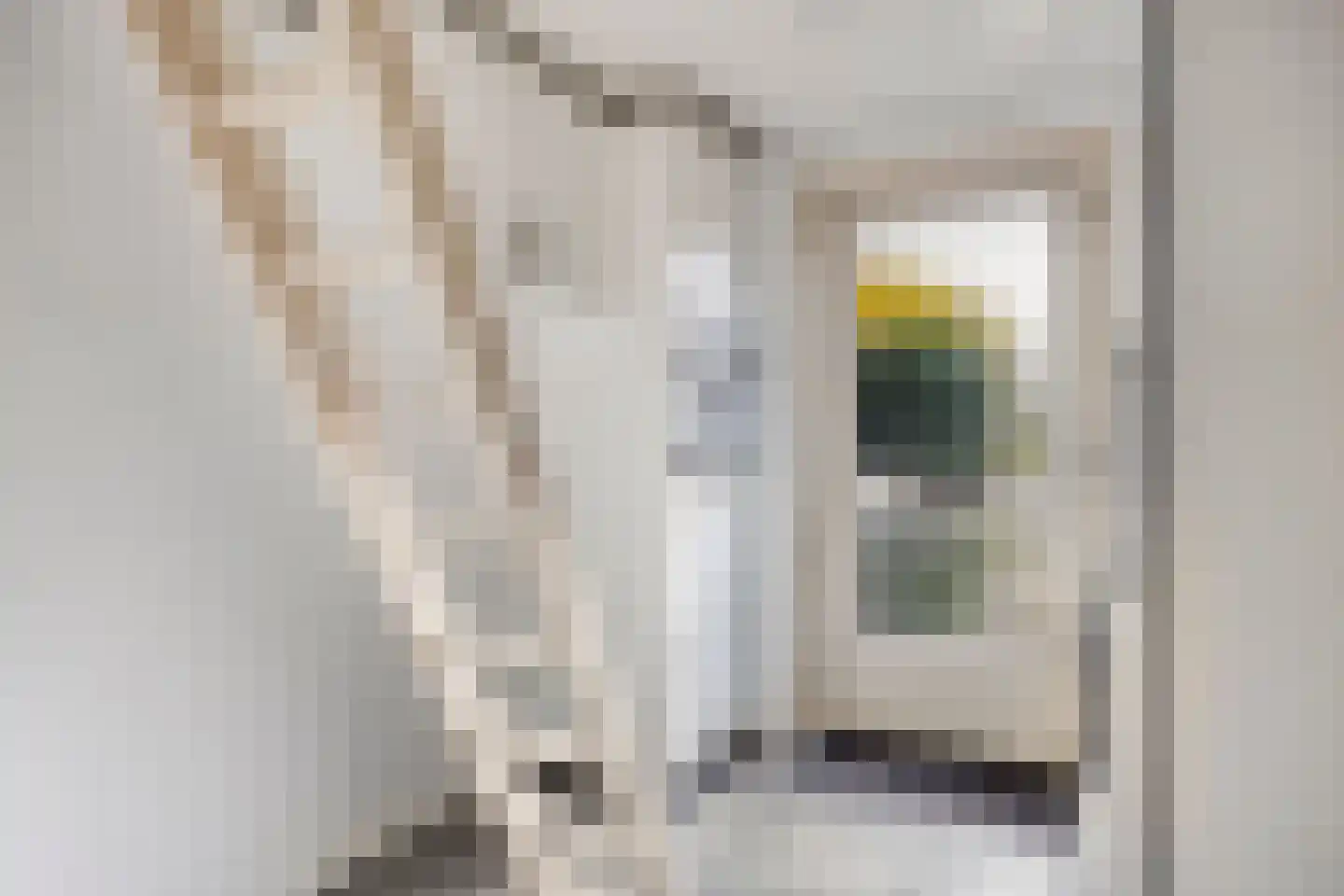 Mark 18 Tilburg thumbnail 19