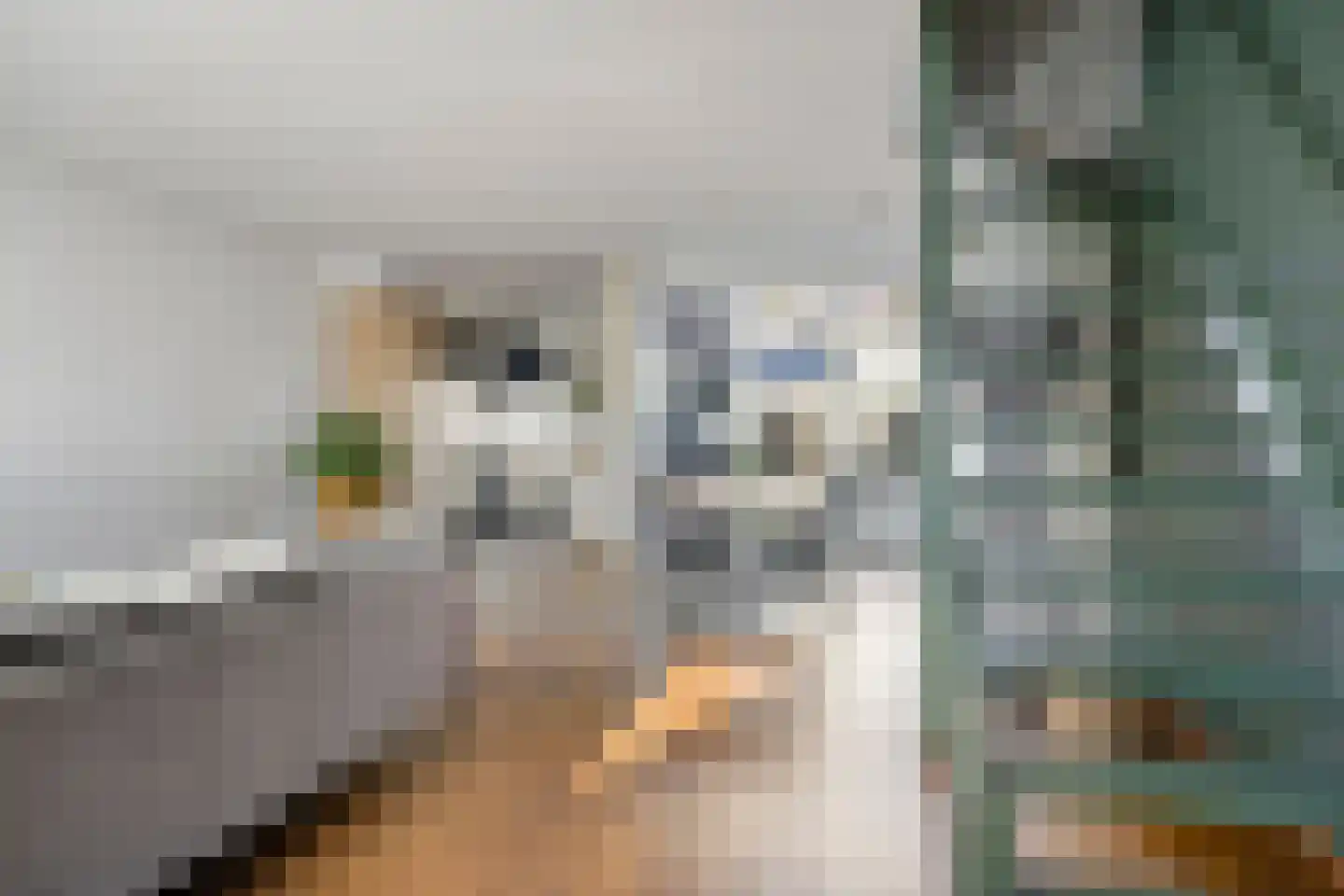 Mark 18 Tilburg thumbnail 9
