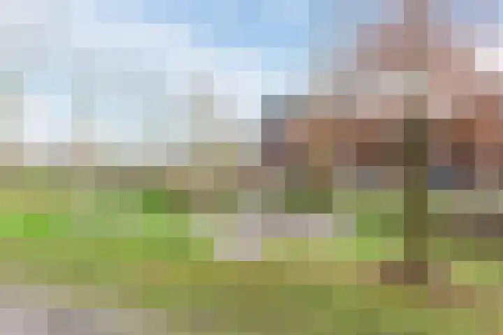 Mark 21 Valkenswaard thumbnail 57