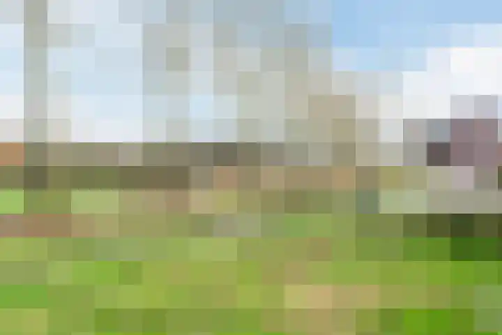 Mark 21 Valkenswaard thumbnail 58