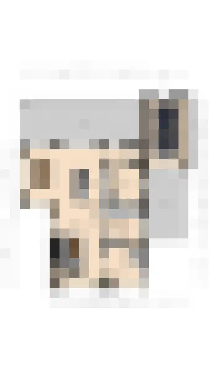 Mark 21 Valkenswaard thumbnail 60