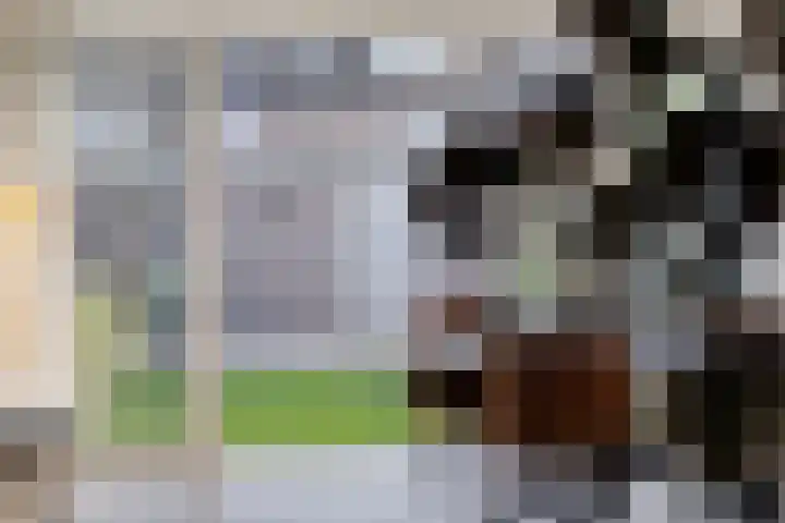 Mark 22 Oisterwijk thumbnail 14