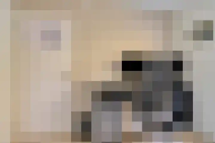 Mark 22 Oisterwijk thumbnail 27