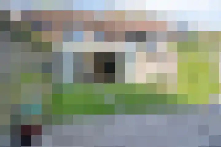 Mark 22 Oisterwijk thumbnail 34