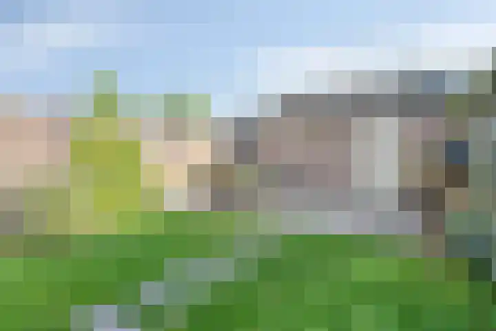 Mark 22 Oisterwijk thumbnail 37