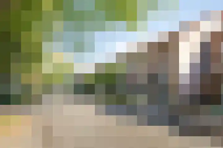 Mark 22 Oisterwijk thumbnail 41