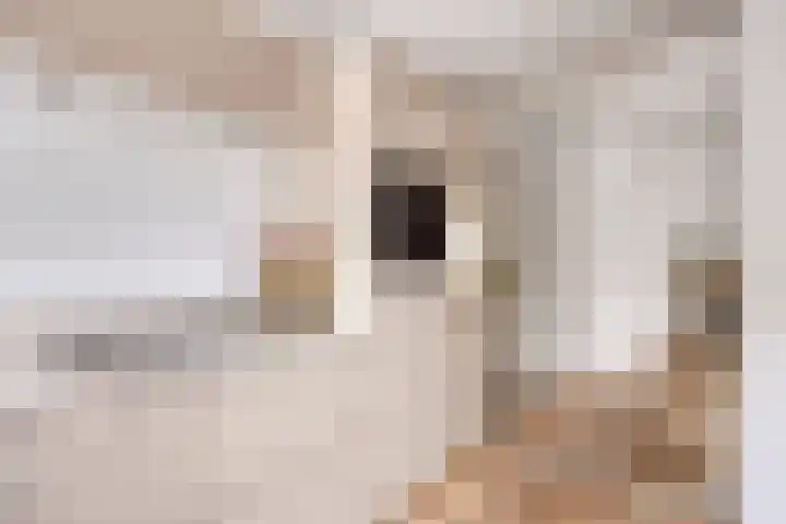 Mark 26 Oisterwijk thumbnail 10