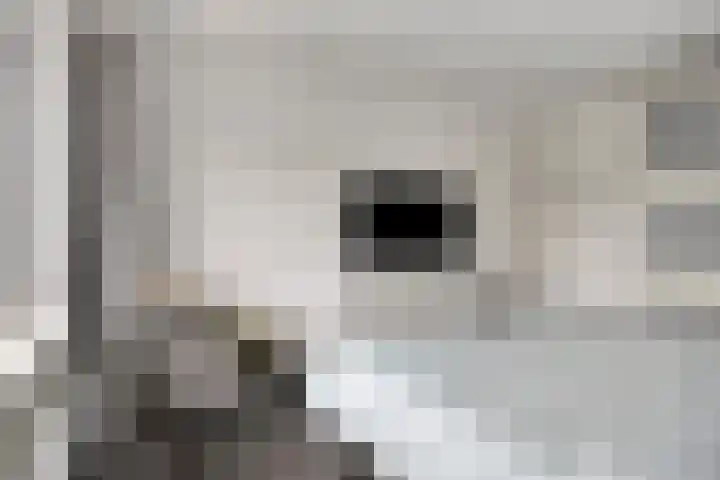 Mark 26 Oisterwijk thumbnail 13