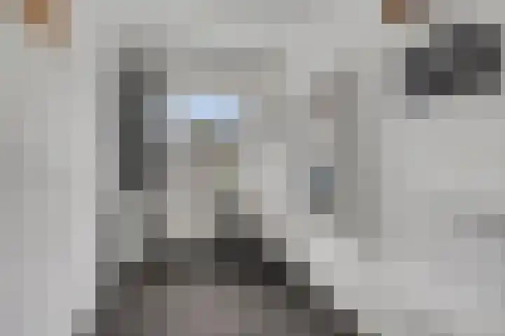 Mark 26 Oisterwijk thumbnail 16