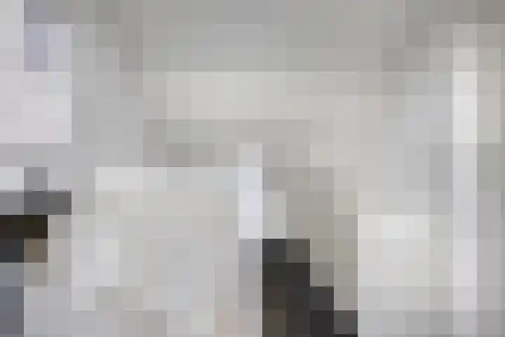 Mark 26 Oisterwijk thumbnail 20