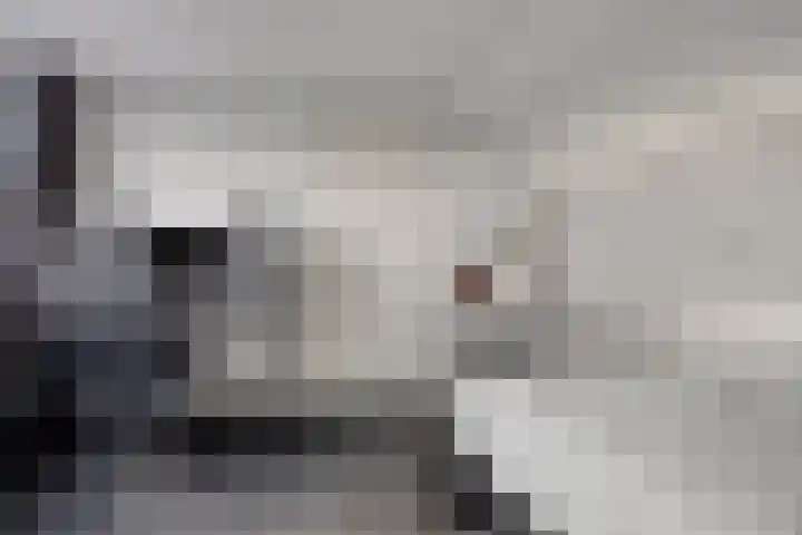 Mark 26 Oisterwijk thumbnail 23