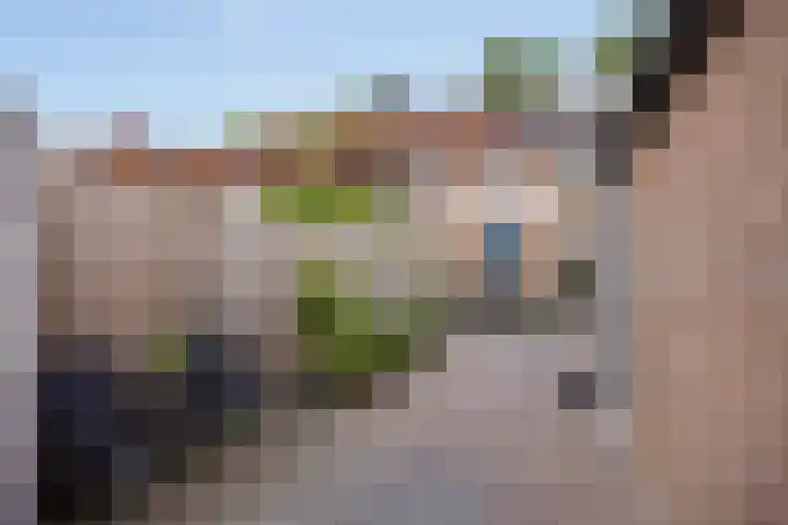 Mark 26 Oisterwijk thumbnail 27