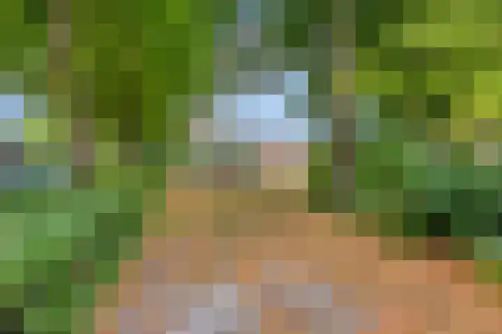 Mark 26 Oisterwijk thumbnail 32
