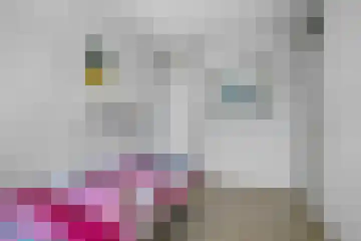 Mark 29 Oisterwijk thumbnail 20