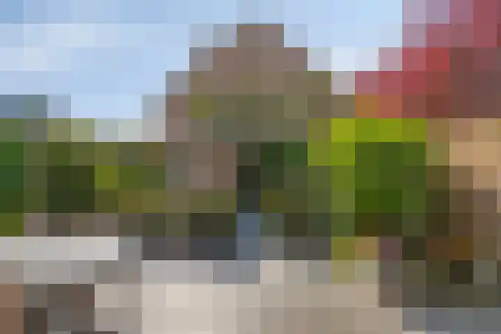 Mark 29 Oisterwijk thumbnail 30