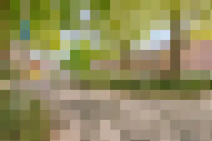 Mark 29 Oisterwijk thumbnail 33
