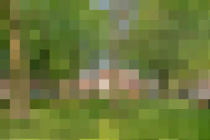 Mark 29 Oisterwijk thumbnail 36