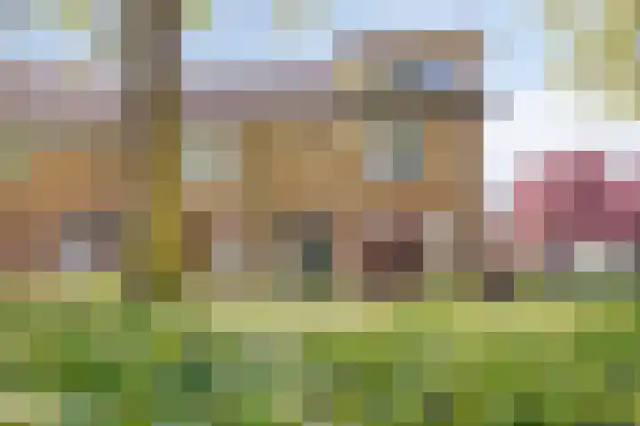 Mark 29 Oisterwijk thumbnail 41