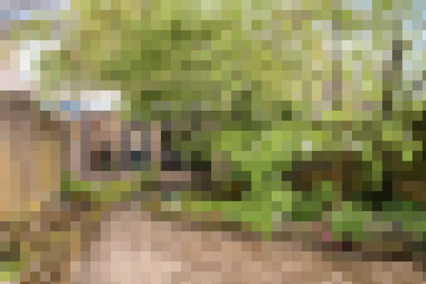 Mark 38 Kaatsheuvel thumbnail 30