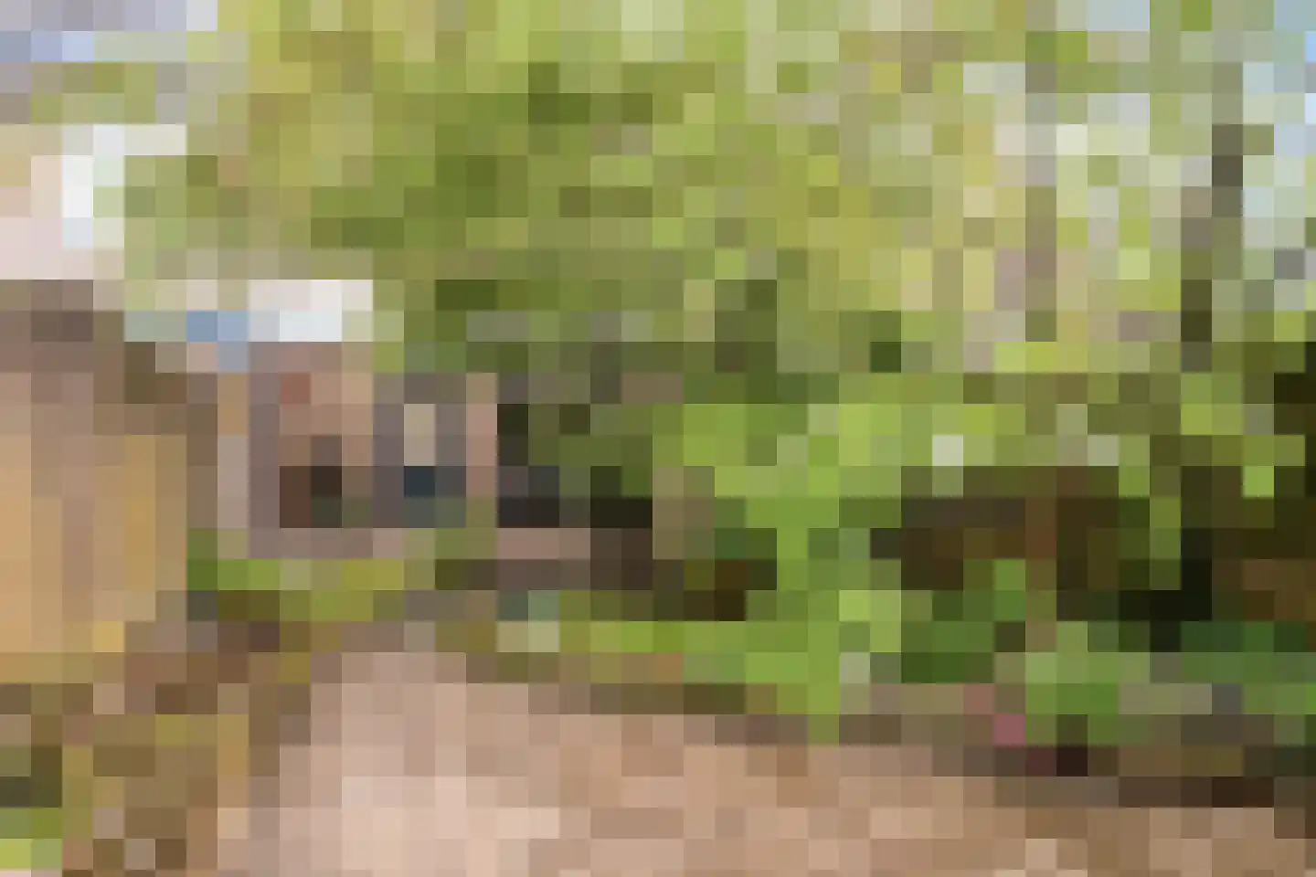 Mark 38 Kaatsheuvel thumbnail 33