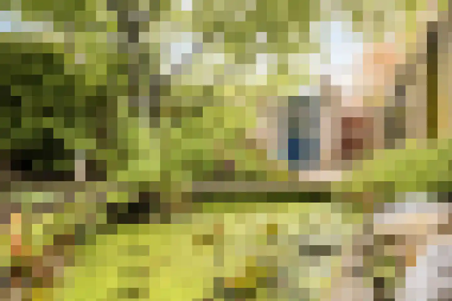 Mark 38 Kaatsheuvel thumbnail 36