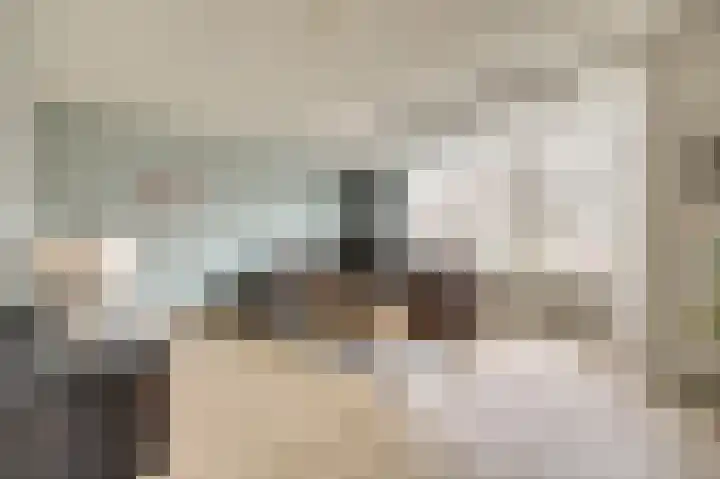 Mark 46 Dronten foto 2