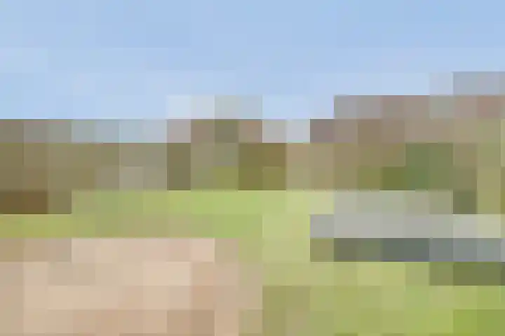 Mark 46 Dronten thumbnail 32