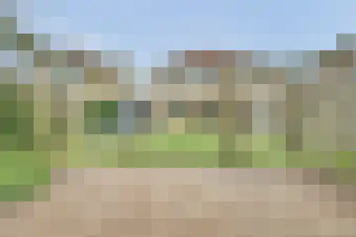 Mark 46 Dronten thumbnail 4