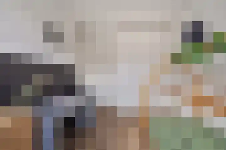 Mark Twainhof 15 Arnhem thumbnail 16