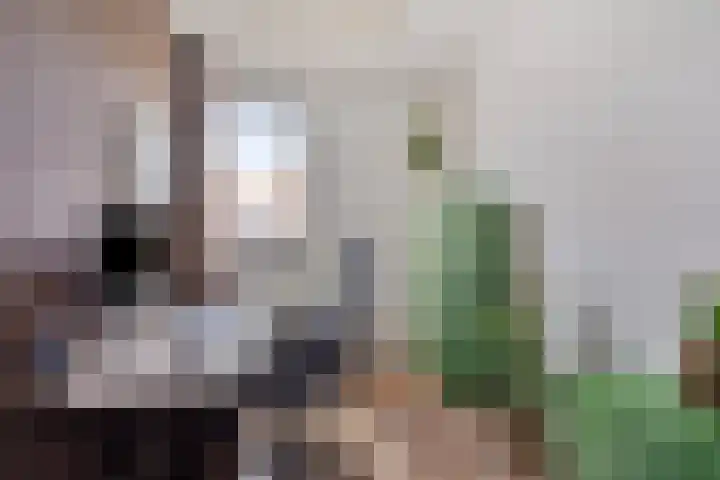Mark Twainhof 15 Arnhem thumbnail 17
