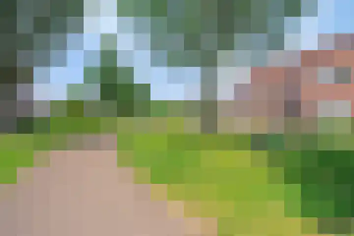 Mark Twainhof 15 Arnhem thumbnail 40