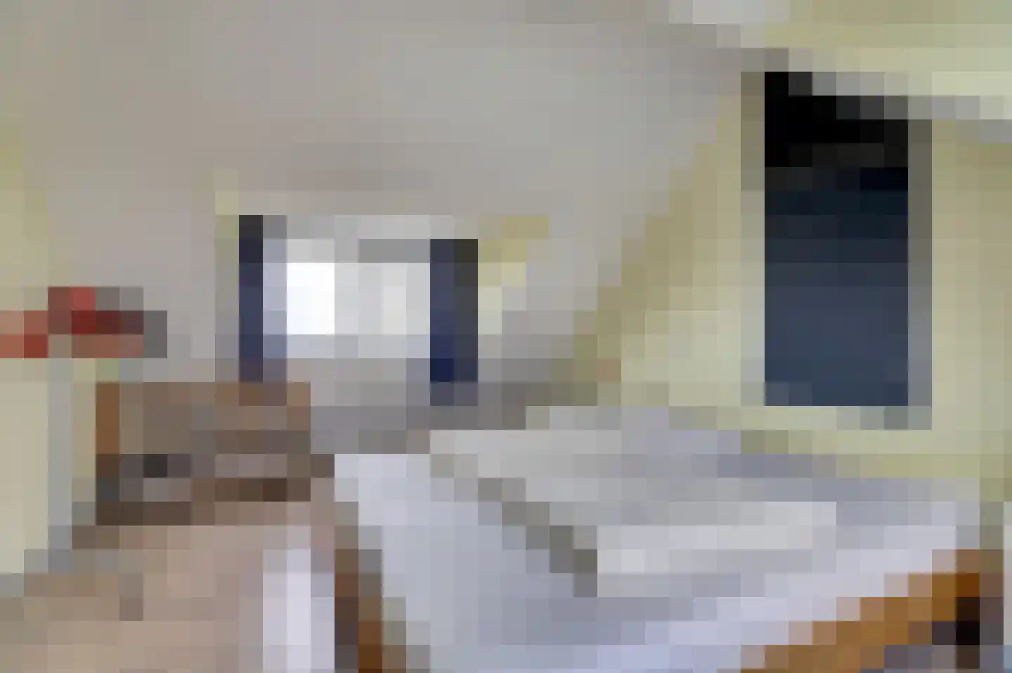 Markant 5 Balk thumbnail 20