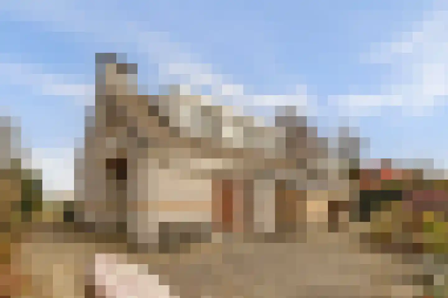 Markant 5 Balk thumbnail 24
