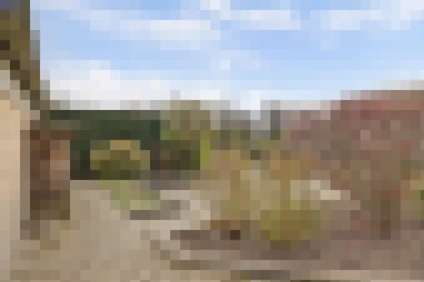 Markant 5 Balk thumbnail 25