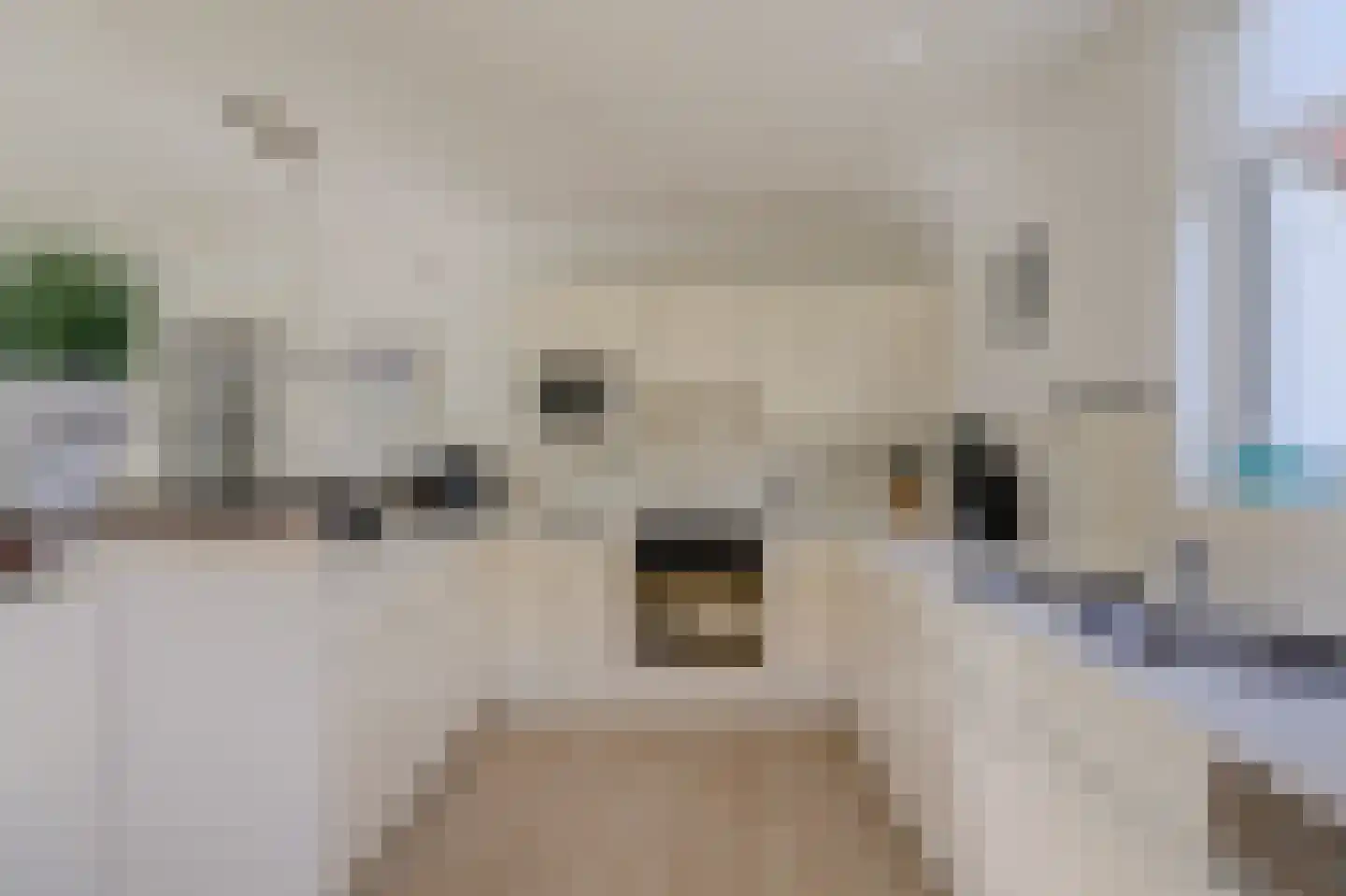 Markant 81 Balk thumbnail 16