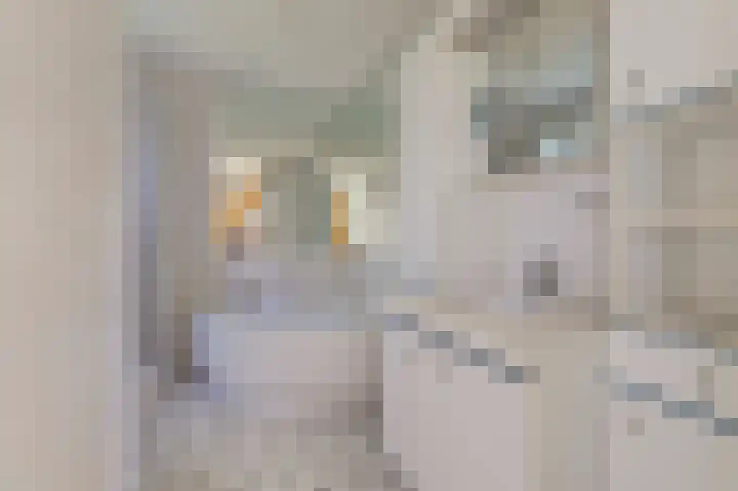 Markant 81 Balk thumbnail 19