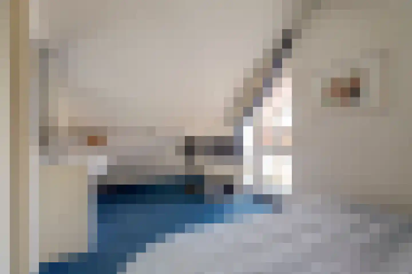 Markant 81 Balk thumbnail 20