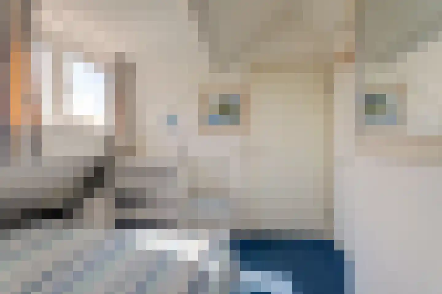 Markant 81 Balk thumbnail 23