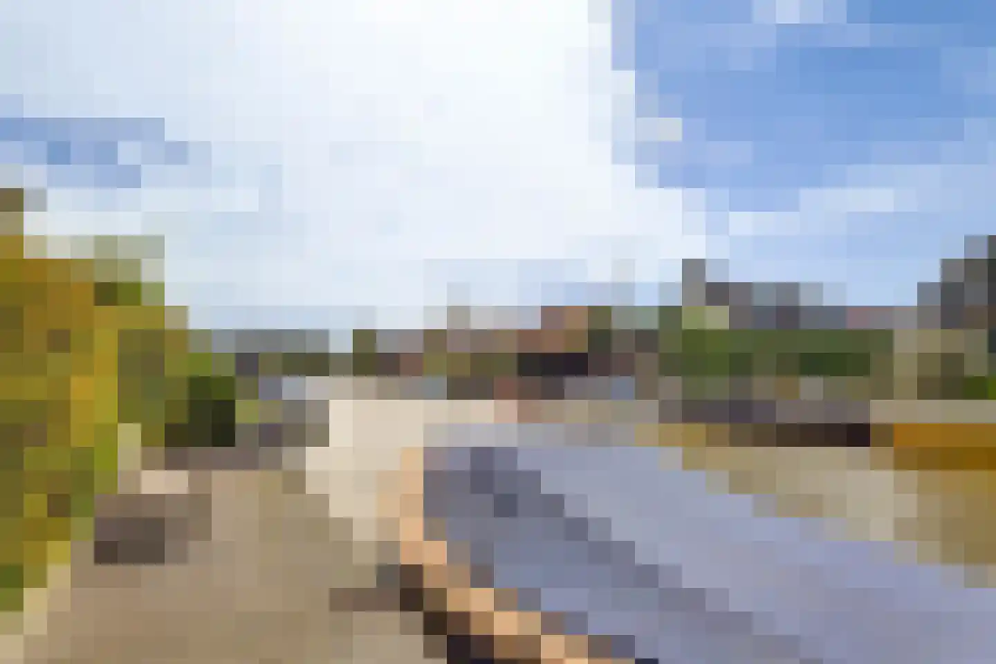 Markant 81 Balk thumbnail 30